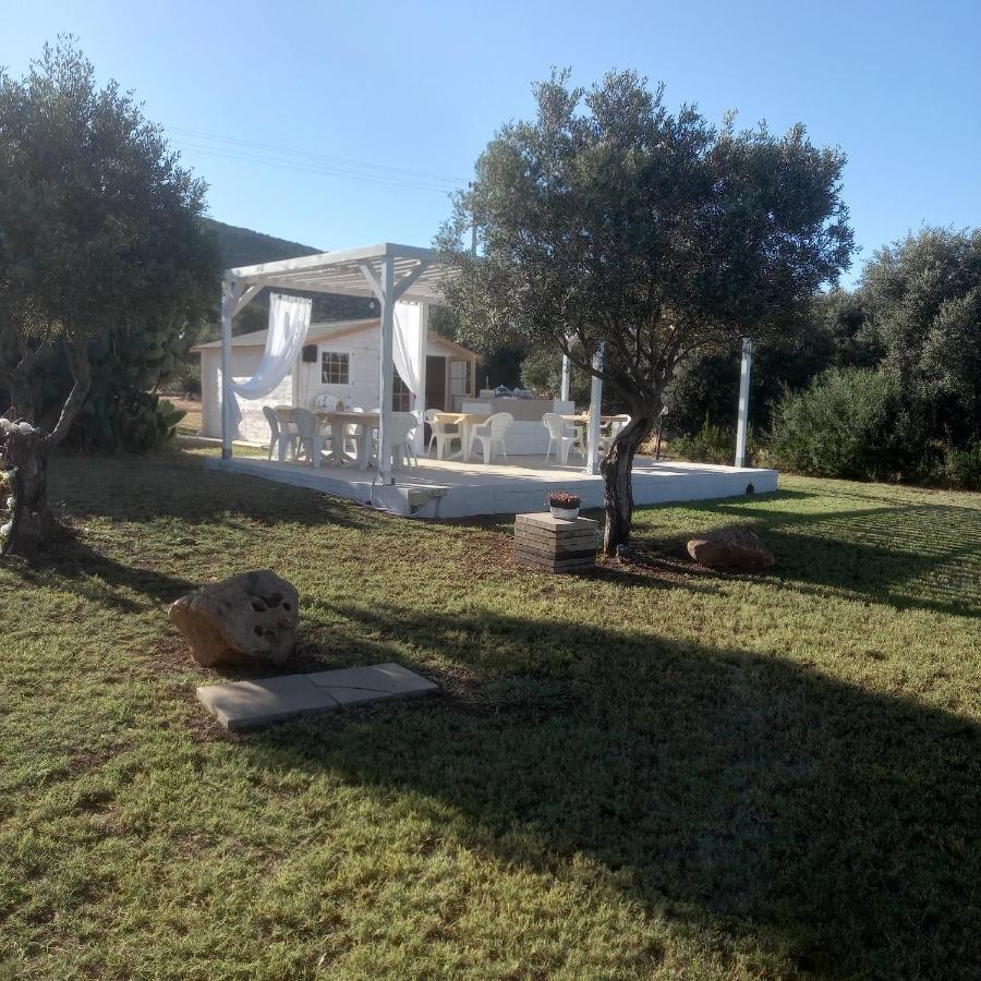 B&B Gli Ulivi SantʼAnna Arresi Kültér fotó
